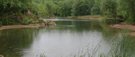 A serene lake surrounded by dense forest.
