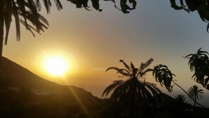 A sunset with palm trees silhouetted against the sky. - Apartment Clary in Gomera with Unique Views, Close to Beach (Vallehermoso)