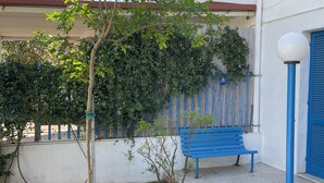 A small garden with a tree, a bench, and flower beds. - Blue house 500m from the beach of Porto Cesareo (Porto Cesareo)
