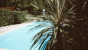Una piscina rodeada de exuberante vegetación.