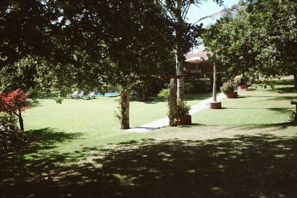 Un área verde bien cuidada con piscina, rodeada de árboles y plantas en macetas.