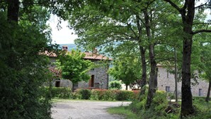 A stone building with a red-tiled roof, surrounded by lush greenery and a gravel path. - AGRITURISMO LA PIETRAIA (Poppi)
