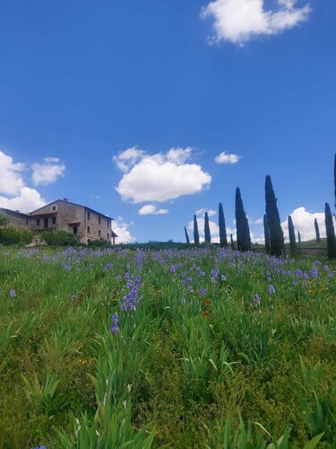 AGRITURISMO LA PIETRAIA