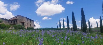 AGRITURISMO LA PIETRAIA
