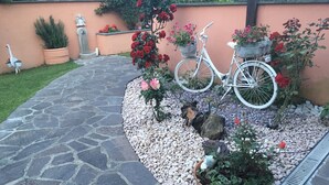 A garden with a stone pathway, potted plants, and a bicycle. - Between the sea and the Eternal City, Guest room ''Sottocoperta'' (Roma)