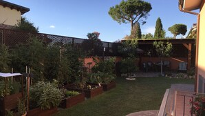 A garden with raised beds, a pergola, and a stone pathway. - Between the sea and the Eternal City, Guest room ''Sottocoperta'' (Roma)