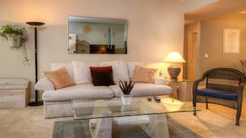 Smart-TV, Kamin, DVD-Player, Videothek