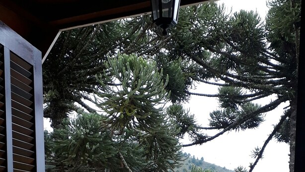 Un balcón de madera con vistas a un paisaje rural, que incluye casas y vegetación.