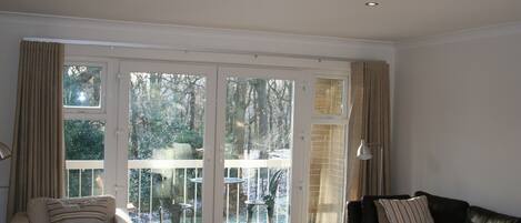 TV, DVD player, books