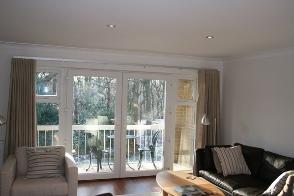 TV, DVD player, books