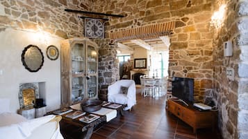 TV, fireplace, ping pong, books