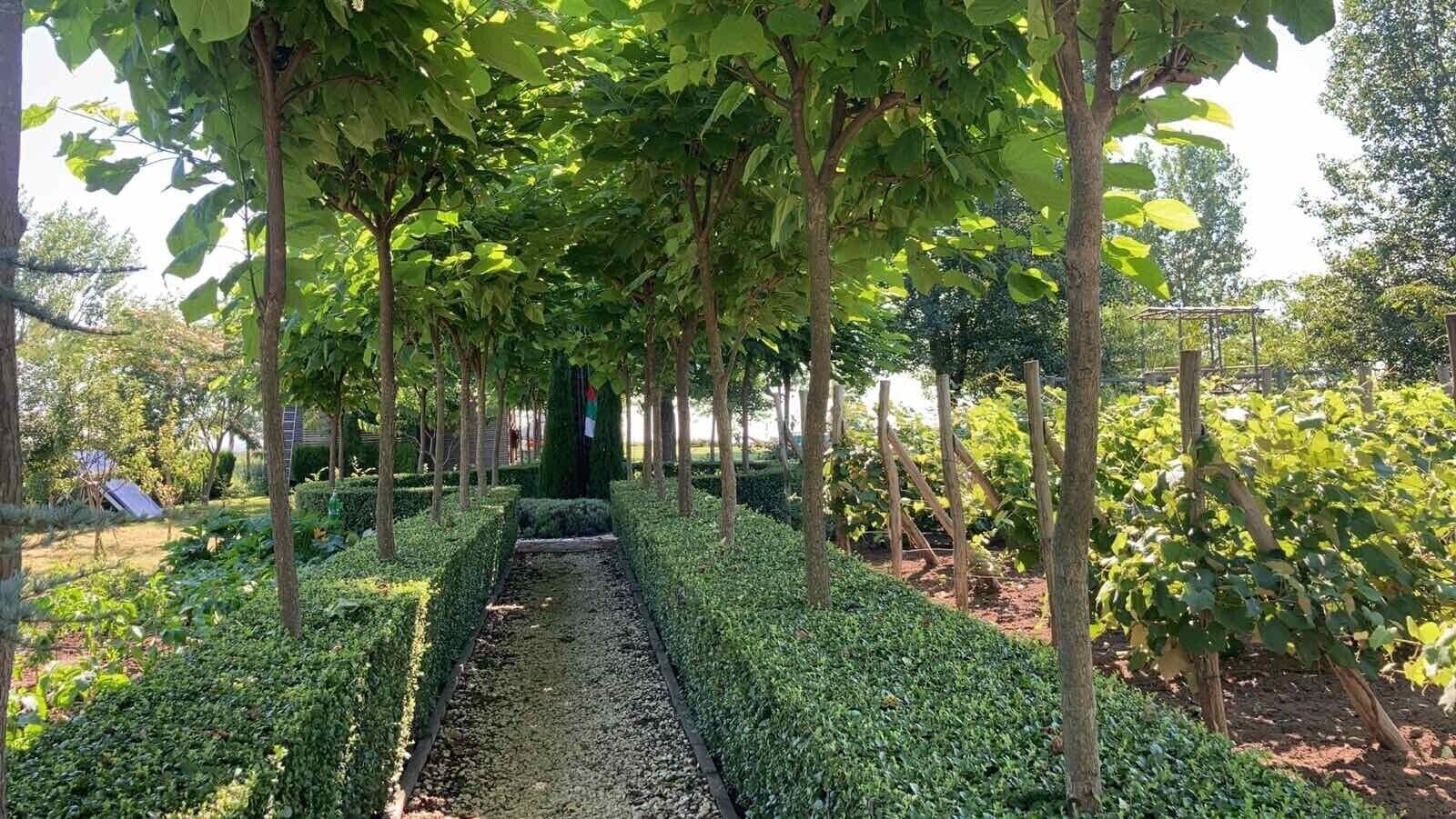 Terrein van de accommodatie