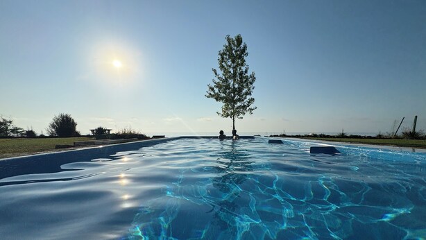Una piscina cristalina con un árbol en el centro, rodeada de césped y un cielo despejado.