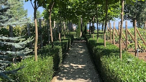 Un sendero bordeado de árboles y arbustos que conduce hacia una masa de agua.