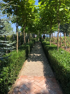 Terrain de l’hébergement 