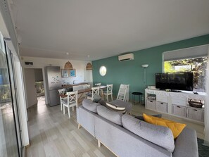 Smart TV, fireplace, DVD player, books