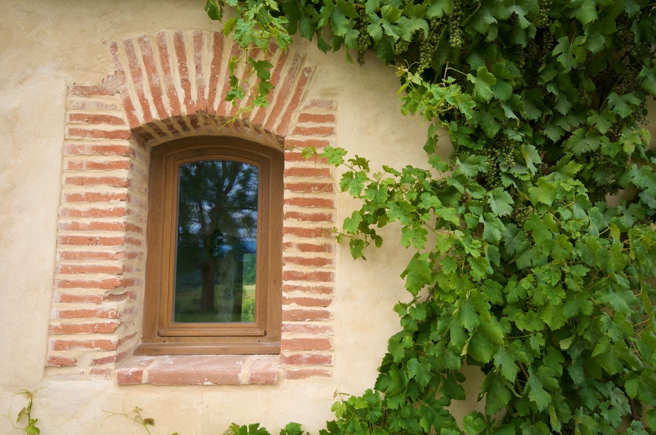 Gîte Vue des Montagnes original window with grapevine