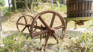 Parco della struttura