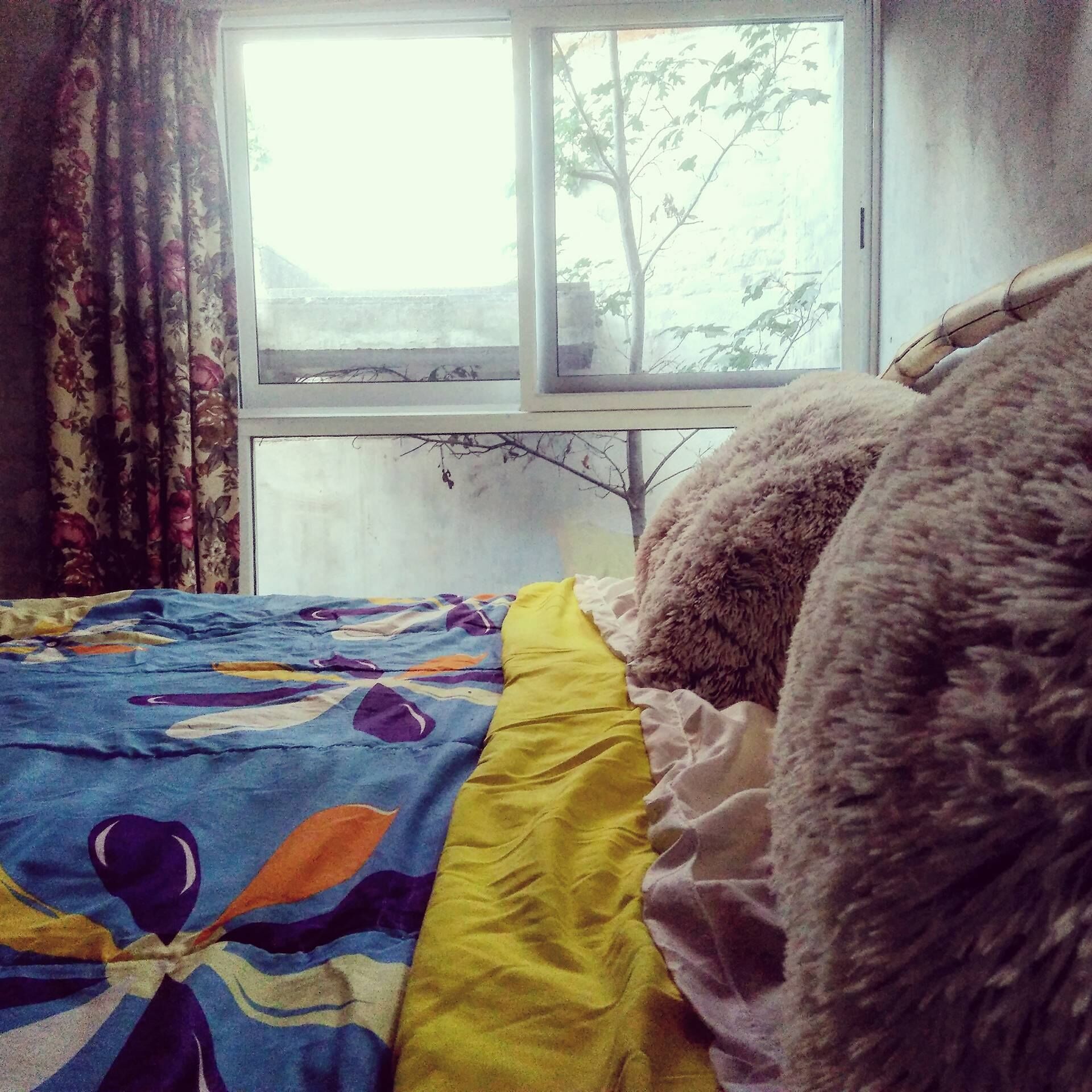 Getaway to Mexico! Guadalajara-Home