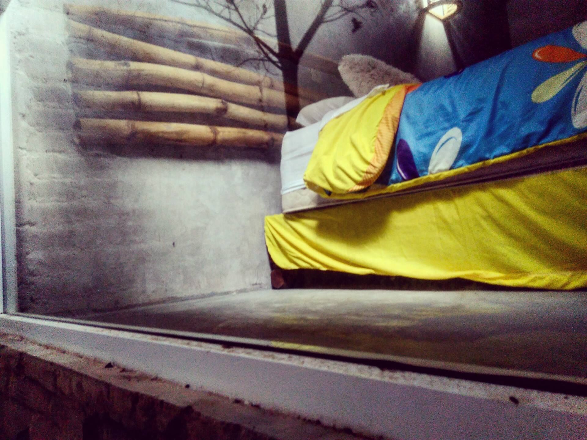 Getaway to Mexico! Guadalajara-Home