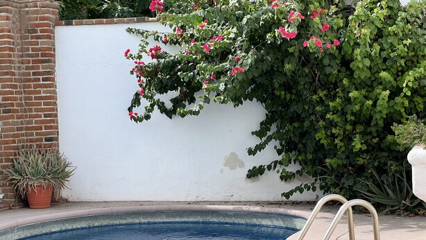 Ein Pool mit einer Metallleiter, umgeben von einer weißen Mauer und einer Ziegelstruktur.