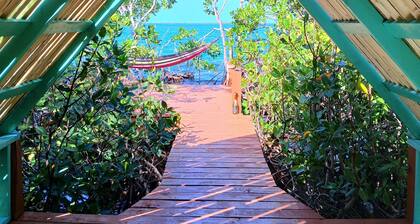 Brauchen Sie ABENTEUER?