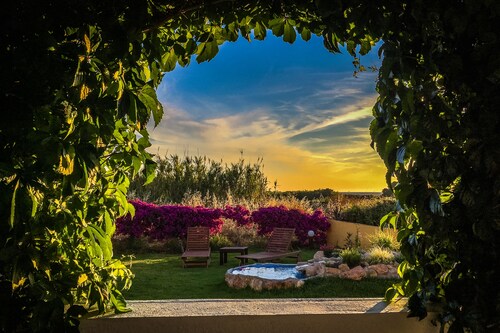 Villa Marqua Vineyard