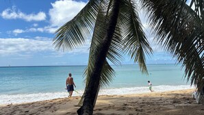 A beach with a palm tree, clear blue water, and a distant sailboat. - Villa Valeda on the hill (Saint James)