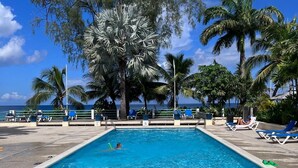 A rectangular swimming pool with metal ladders, surrounded by lounge chairs and palm trees, with a clear view of the ocean in the background. - Villa Valeda on the hill (Saint James)