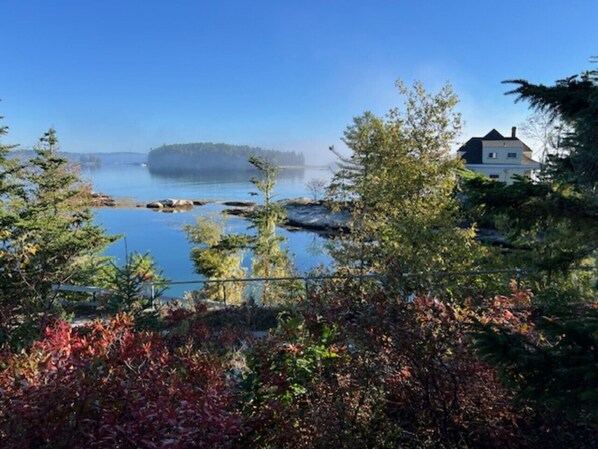 Property grounds - A Picturesque Cottage on Capitol Island, Maine (Southport)