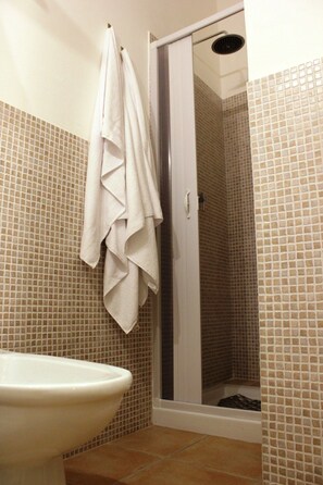 Shower, hair dryer, bathrobes, bidet