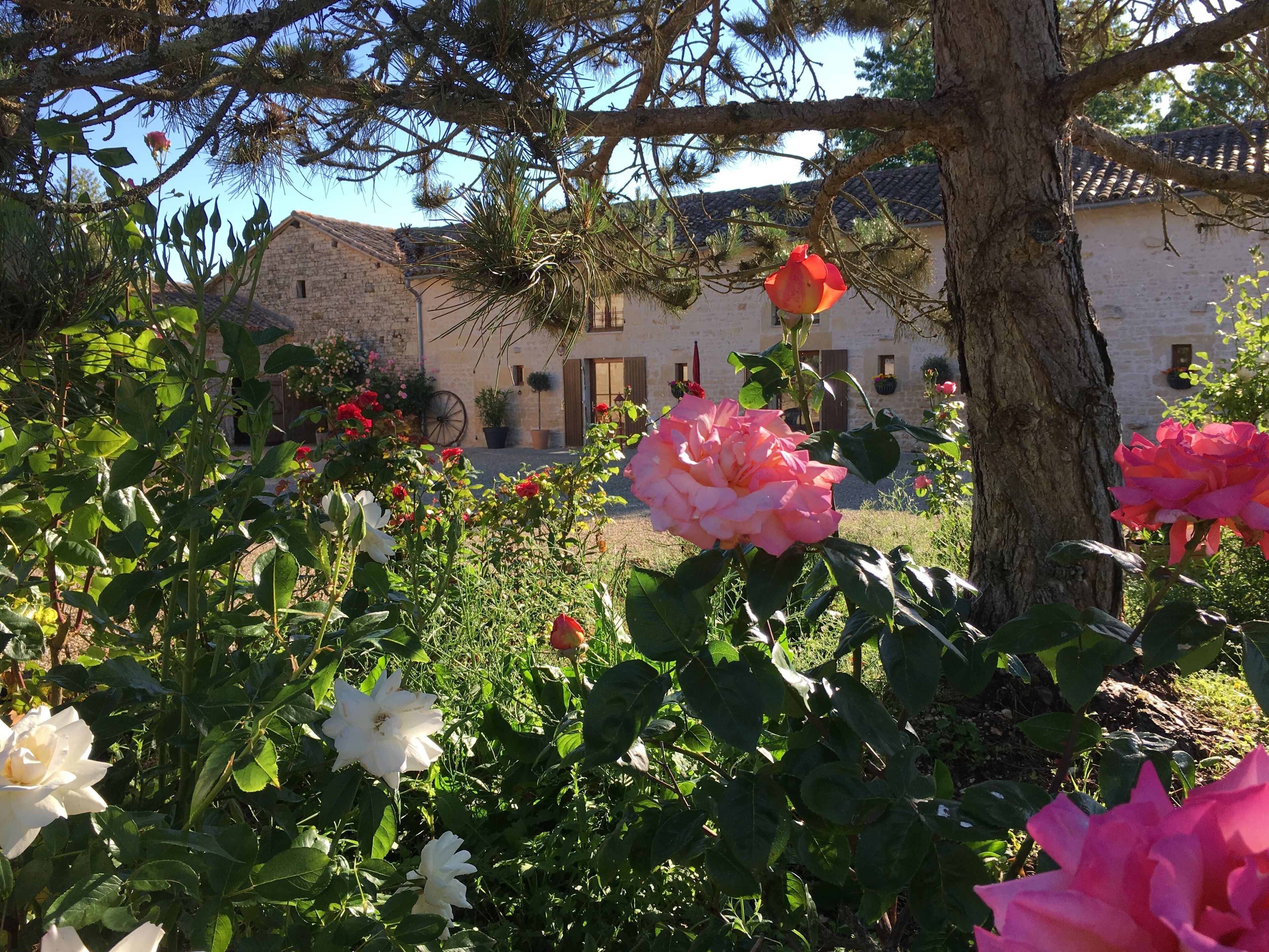 Courtyard view