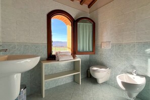 Shower, hair dryer, bidet, towels