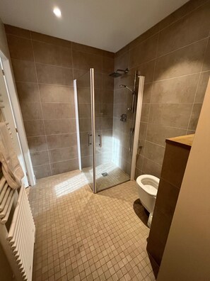 Shower, hair dryer