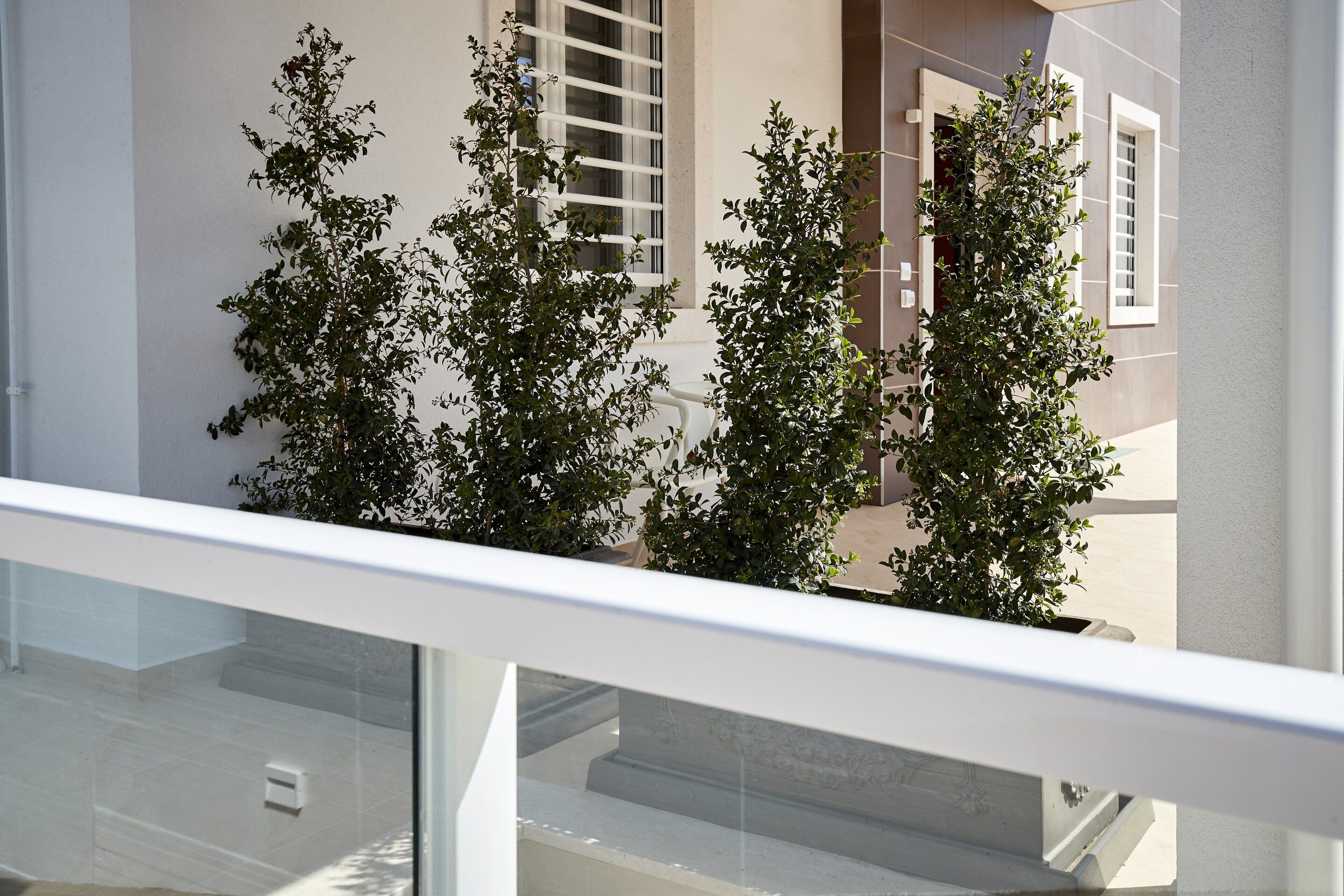 Apartment no. 1 - Conversano - Puglia