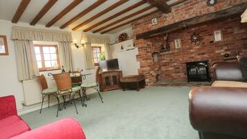 Télévision, cheminée, lecteur de DVD