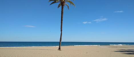 Plage à proximité