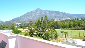 A mountain view with a residential area in the foreground.