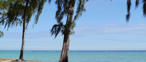 Nära stranden