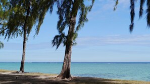 Una spiaggia nelle vicinanze