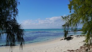 Una spiaggia nelle vicinanze