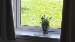 Ein Fenster mit weißen Vorhängen, ein kleiner Blumentopf auf der Fensterbank und Blick auf eine grüne Wiese und eine Straße.