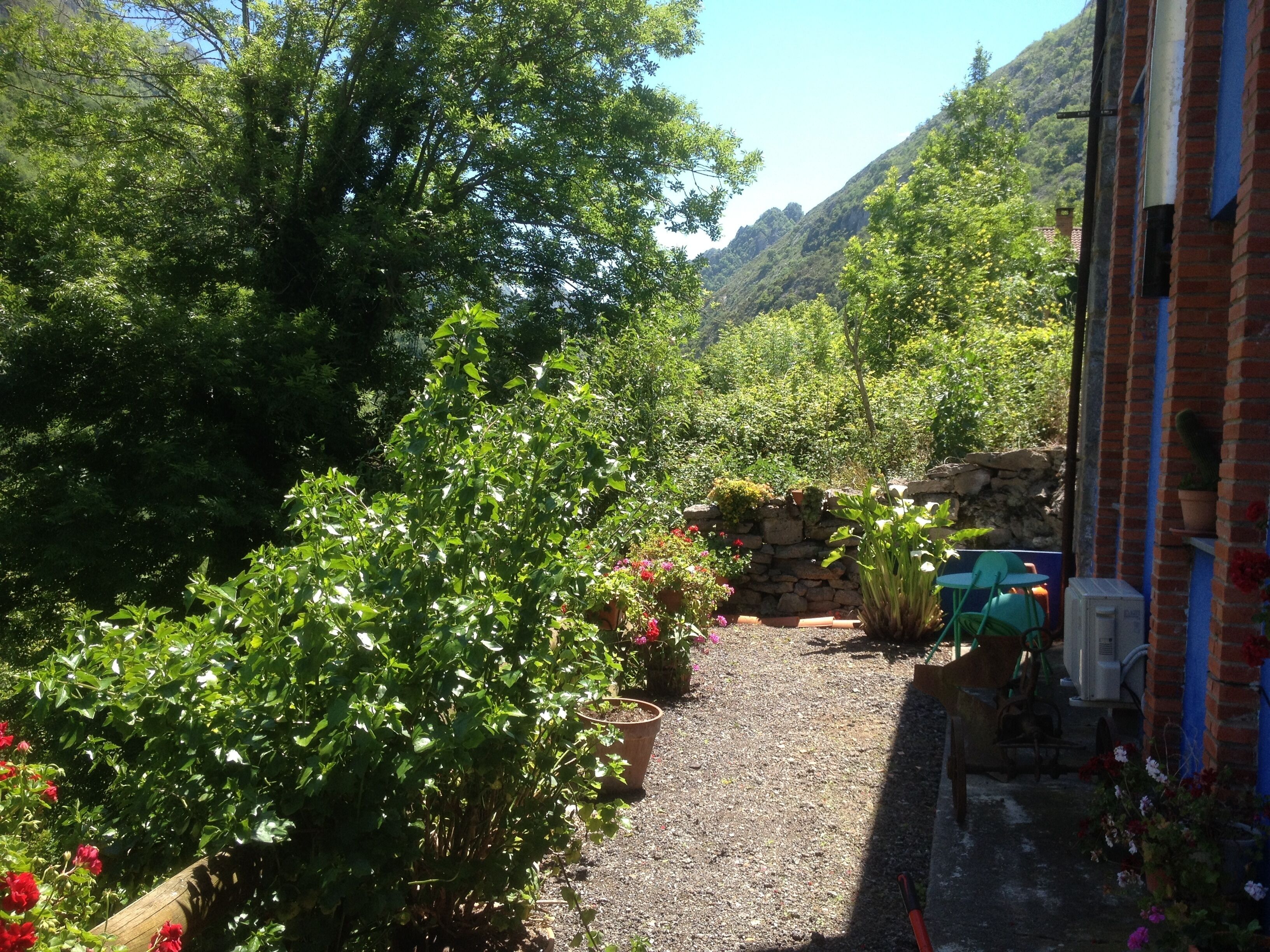 A garden pathway surrounded by lush greenery and potted plants.