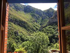 View from property - Magic Panoramic Natural Picos de Europa. ASTURIAS (Ponga)