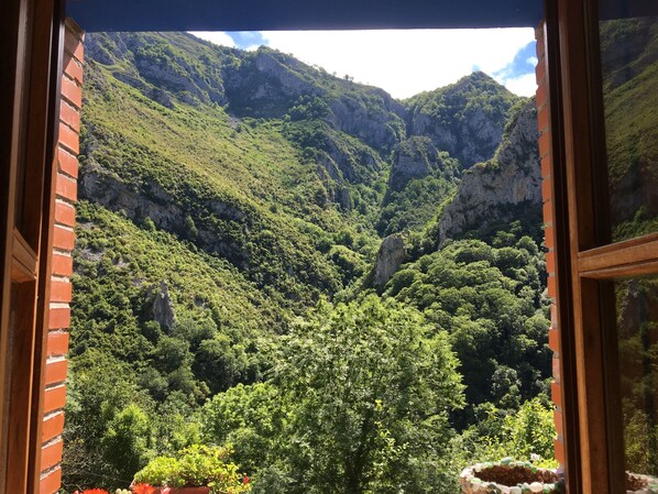 A view through a window of a mountainous landscape with lush greenery and rocky cliffs.