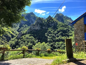 Property grounds - Magic Panoramic Natural Picos de Europa. ASTURIAS (Ponga)