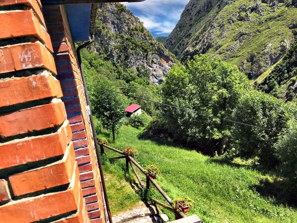 Property grounds - Magic Panoramic Natural Picos de Europa. ASTURIAS (Ponga)