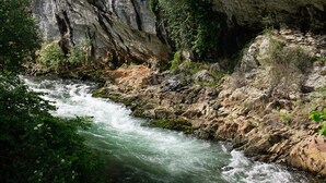 Une rivière qui traverse un défilé rocheux, avec une végétation luxuriante sur ses rives.