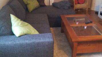 Fernseher, DVD-Player, Bücher