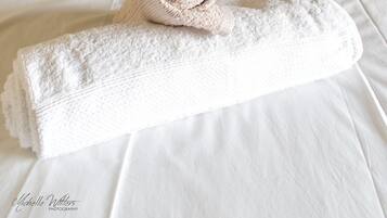 2 slaapkamers, een bureau, een strijkplank/strijkijzer, gratis wifi